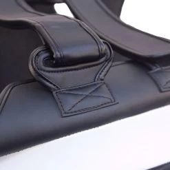 Coaches SHIELD Thigh Pads -Knockout Shop coaches shield thigh pads 740526