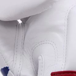 Fairtex Boxing Gloves - BGV1 Thai Pride 9 Fairtex Boxing Gloves - BGV1 Thai Pride -Knockout Shop fairtex boxing gloves bgv1 thai pride 149671