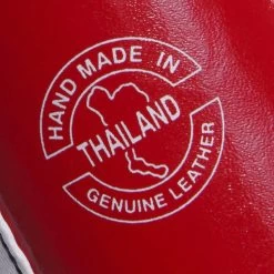 Fairtex Boxing Gloves - BGV1 Thai Pride 11 Fairtex Boxing Gloves - BGV1 Thai Pride -Knockout Shop fairtex boxing gloves bgv1 thai pride 871987