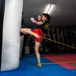 Willpower Bands - ATLAS 12 -Knockout Shop willpower bands atlas 12 630395